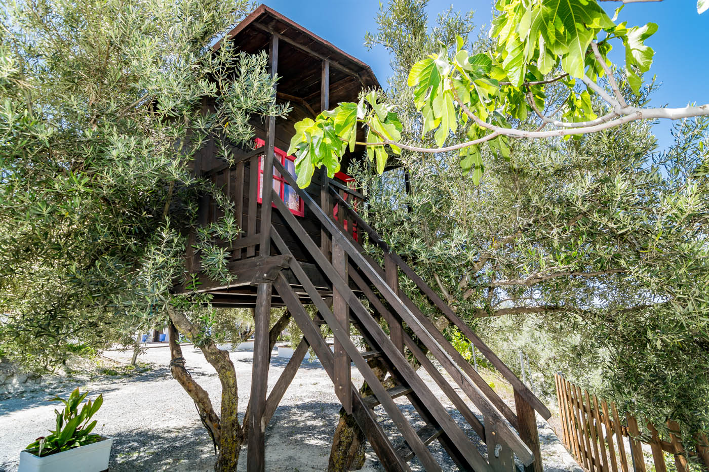 Una fantástica cabaña de árbol para niños